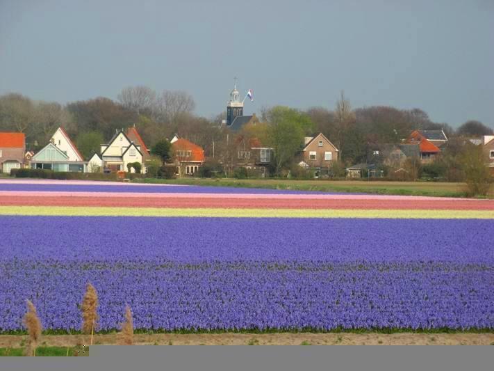 De Blaauboer, Vakantiehuisje เอ็กมอนด์อานเซ ห้อง รูปภาพ