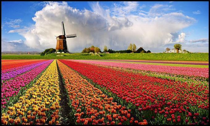 De Blaauboer, Vakantiehuisje เอ็กมอนด์อานเซ ห้อง รูปภาพ