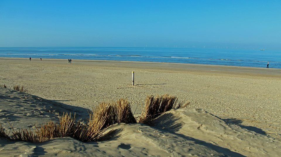 De Blaauboer, Vakantiehuisje เอ็กมอนด์อานเซ ภายนอก รูปภาพ