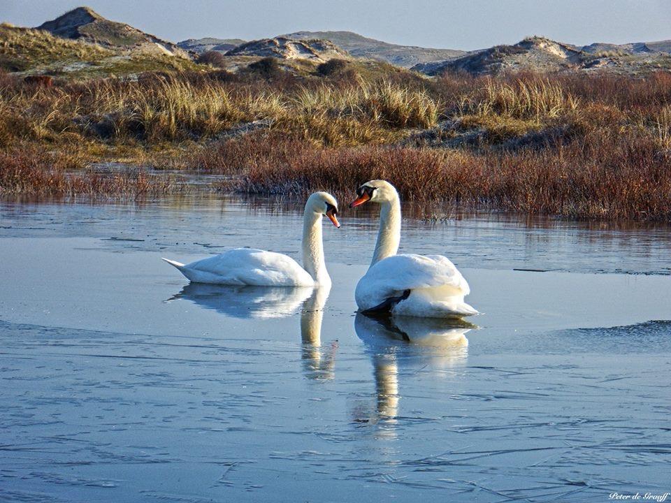 De Blaauboer, Vakantiehuisje เอ็กมอนด์อานเซ ภายนอก รูปภาพ