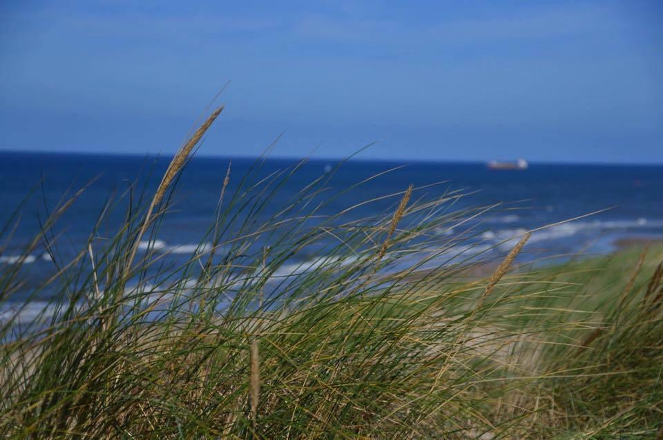 De Blaauboer, Vakantiehuisje เอ็กมอนด์อานเซ ภายนอก รูปภาพ